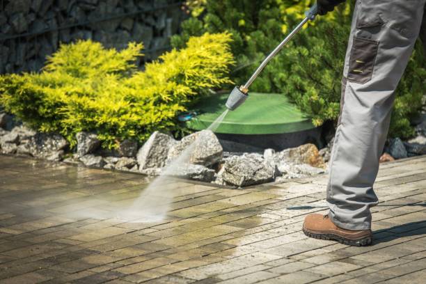 Professional Pressure Washing Services in Black Point Green Point, CA